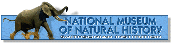 Take a virtual tour of any of the 16 Smithsonian National Museums, see some of the world's most fascinating exhibits, or visit many national sites including the National Zoological Park
