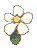 large flower